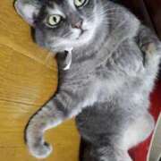 ヒメ日記 2025/10/11 22:32 投稿 ひな 熟女の風俗最終章 西川口店