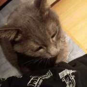 ヒメ日記 2025/10/16 11:22 投稿 ひな 熟女の風俗最終章 西川口店