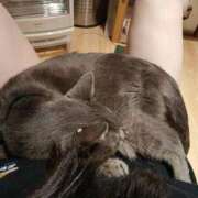 ヒメ日記 2025/12/18 07:02 投稿 ひな 熟女の風俗最終章 西川口店