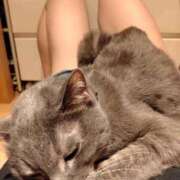 ヒメ日記 2025/12/19 13:12 投稿 ひな 熟女の風俗最終章 西川口店