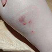 ヒメ日記 2025/12/30 16:12 投稿 ひな 熟女の風俗最終章 西川口店