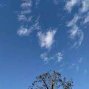 ヒメ日記 2026/01/25 15:51 投稿 ひな 熟女の風俗最終章 西川口店