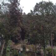 ヒメ日記 2026/02/07 12:42 投稿 ひな 熟女の風俗最終章 西川口店