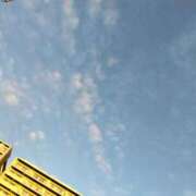 ヒメ日記 2026/03/14 07:03 投稿 ひな 熟女の風俗最終章 西川口店