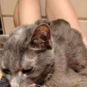 ヒメ日記 2026/03/26 06:50 投稿 ひな 熟女の風俗最終章 西川口店