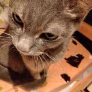 ヒメ日記 2026/04/01 19:56 投稿 ひな 熟女の風俗最終章 西川口店