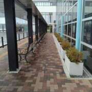 ヒメ日記 2026/04/02 08:20 投稿 ひな 熟女の風俗最終章 西川口店