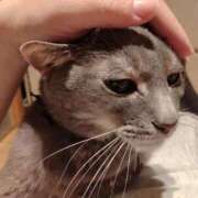 ヒメ日記 2026/04/02 16:40 投稿 ひな 熟女の風俗最終章 西川口店