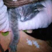 ヒメ日記 2026/04/04 20:30 投稿 ひな 熟女の風俗最終章 西川口店