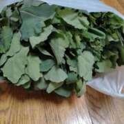 ヒメ日記 2026/04/05 17:20 投稿 ひな 熟女の風俗最終章 西川口店