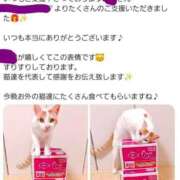 ヒメ日記 2026/04/06 08:40 投稿 ひな 熟女の風俗最終章 西川口店