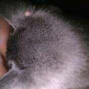 ヒメ日記 2026/04/07 05:43 投稿 ひな 熟女の風俗最終章 西川口店