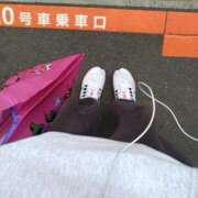 ヒメ日記 2026/04/07 08:40 投稿 ひな 熟女の風俗最終章 西川口店