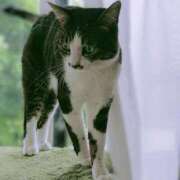 ヒメ日記 2025/05/13 06:32 投稿 こでまり 熟女の風俗最終章　越谷店