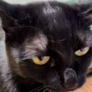 ヒメ日記 2025/08/26 19:42 投稿 こでまり 熟女の風俗最終章　越谷店