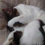 ヒメ日記 2025/08/28 10:59 投稿 こでまり 熟女の風俗最終章　越谷店