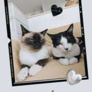 ヒメ日記 2025/09/28 07:52 投稿 こでまり 熟女の風俗最終章　越谷店