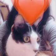 ヒメ日記 2025/10/05 11:02 投稿 こでまり 熟女の風俗最終章　越谷店