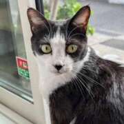 ヒメ日記 2025/10/09 08:02 投稿 こでまり 熟女の風俗最終章　越谷店