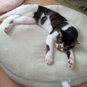 ヒメ日記 2025/10/15 07:22 投稿 こでまり 熟女の風俗最終章　越谷店