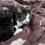 ヒメ日記 2025/12/28 07:22 投稿 こでまり 熟女の風俗最終章　越谷店