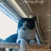 ヒメ日記 2025/03/15 08:11 投稿 こでまり 熟女の風俗最終章 西川口店