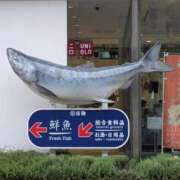 ヒメ日記 2025/07/13 11:04 投稿 こでまり 熟女の風俗最終章 西川口店