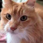 ヒメ日記 2025/08/20 12:03 投稿 こでまり 熟女の風俗最終章 西川口店