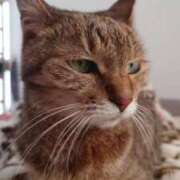 ヒメ日記 2025/10/21 06:42 投稿 こでまり 熟女の風俗最終章 西川口店