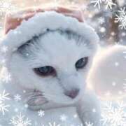 ヒメ日記 2025/11/18 08:22 投稿 こでまり 熟女の風俗最終章 西川口店