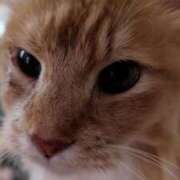 ヒメ日記 2025/12/16 06:22 投稿 こでまり 熟女の風俗最終章 西川口店