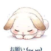 ヒメ日記 2026/02/04 12:40 投稿 アノン【潮吹き警報MAX】 ドMなバニーちゃん和歌山店