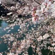 ヒメ日記 2025/04/04 09:04 投稿 しのぶ もしも清楚な20、30代の妻とキスイキできたら横浜店