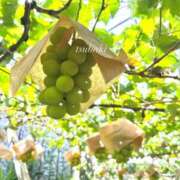 ヒメ日記 2025/09/23 09:11 投稿 椿(つばき) 高崎回春性感SPA