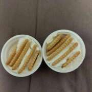 ヒメ日記 2025/12/20 06:49 投稿 あや 鶯谷おかあさん