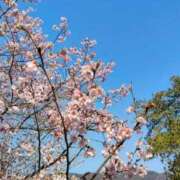 ヒメ日記 2026/03/23 08:29 投稿 あや 鶯谷おかあさん