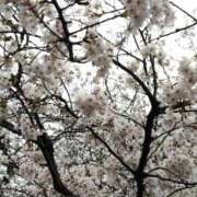 ヒメ日記 2026/03/26 06:39 投稿 あや 鶯谷おかあさん