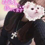 ヒメ日記 2025/02/22 11:09 投稿 朧月 BBW（ビッグビューティフルウーマン）