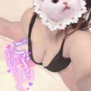 ヒメ日記 2025/03/19 23:09 投稿 朧月 BBW（ビッグビューティフルウーマン）