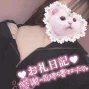 ヒメ日記 2025/03/20 06:29 投稿 朧月 BBW（ビッグビューティフルウーマン）