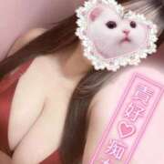 ヒメ日記 2025/03/29 11:39 投稿 朧月 BBW（ビッグビューティフルウーマン）