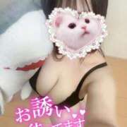 ヒメ日記 2025/04/02 20:39 投稿 朧月 BBW（ビッグビューティフルウーマン）