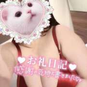 ヒメ日記 2025/04/11 03:09 投稿 朧月 BBW（ビッグビューティフルウーマン）