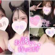 ヒメ日記 2025/04/11 14:21 投稿 朧月 BBW（ビッグビューティフルウーマン）