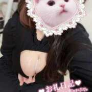 ヒメ日記 2025/04/20 00:29 投稿 朧月 BBW（ビッグビューティフルウーマン）