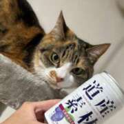 ヒメ日記 2025/04/13 06:58 投稿 えりな 上野ハイブリッドマッサージ