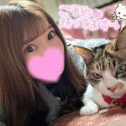 ヒメ日記 2025/03/07 11:19 投稿 えりな 品川ハイブリッドマッサージ