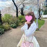 ヒメ日記 2025/04/04 16:38 投稿 えりな 品川ハイブリッドマッサージ