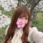 ヒメ日記 2025/04/07 02:08 投稿 えりな 品川ハイブリッドマッサージ