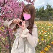 ヒメ日記 2025/04/07 04:48 投稿 えりな 品川ハイブリッドマッサージ